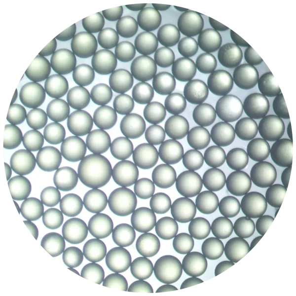 bagecoliteus_b.png