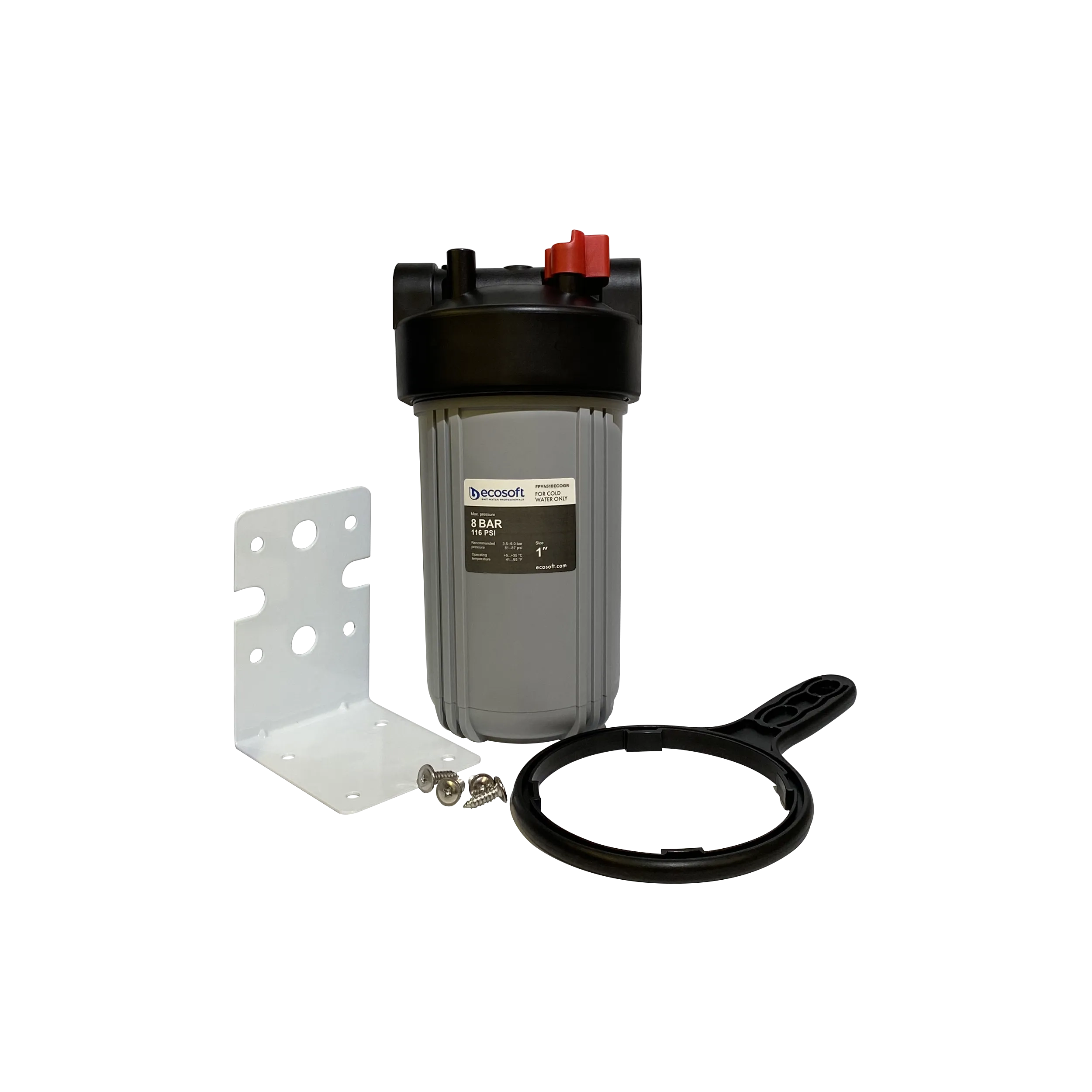 ru_kolba_mekhanicheskoy_ochistki_ecosoft_bb10_1_fpv4510ecogr_ua_kolba_mekhanichnogo_ochishchennya_ec.png