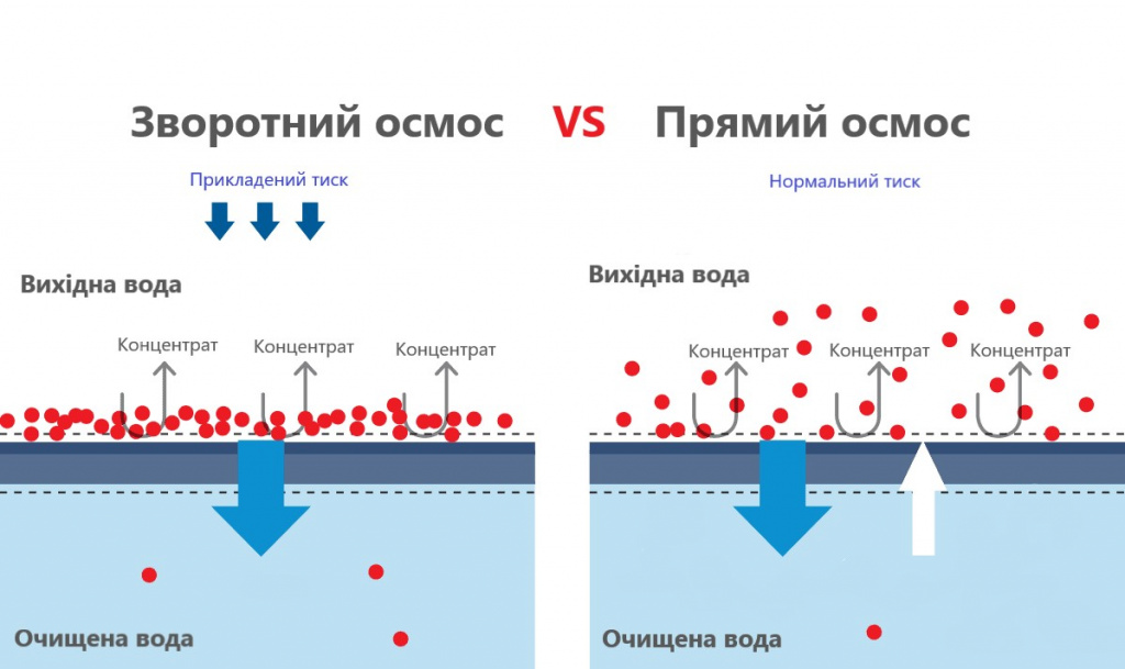 Зворотний і прямий осмос Зворотний і прямий осмос