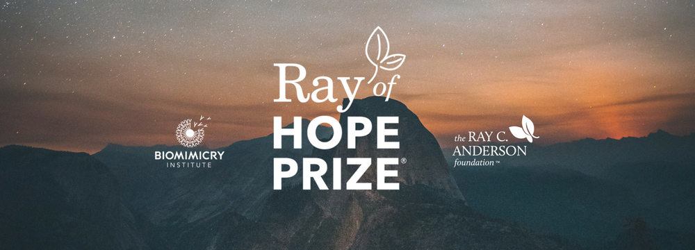 Ray of hope