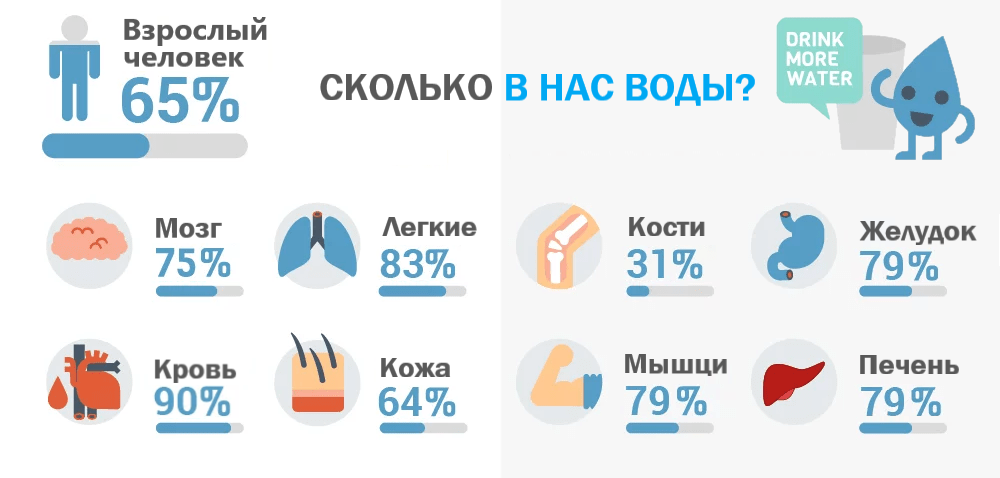 Сколько воды в теле человека?
