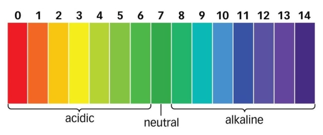 ph-scale.jpg ph-scale.jpg