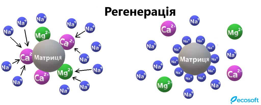 Принцип іонного обміну 1.png
