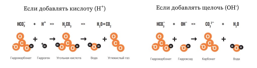 Буферная емкость воды для чая Буферная емкость воды для чая