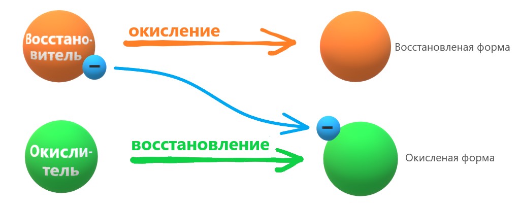 Redox процессы.jpg