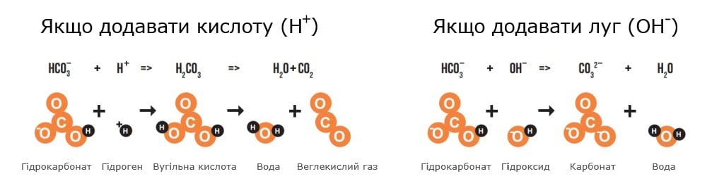 Буферна ємність води для чаю Буферна ємність води для чаю