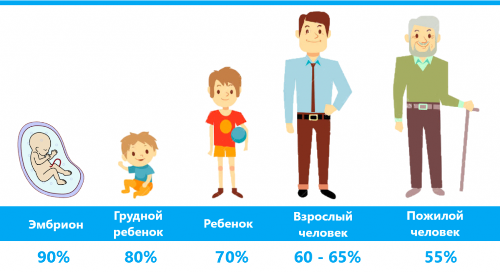 Зависимость количества воды от возраста