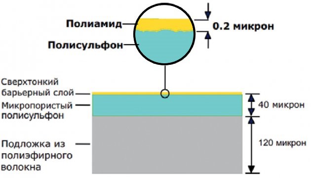 Строение мембраны.jpg