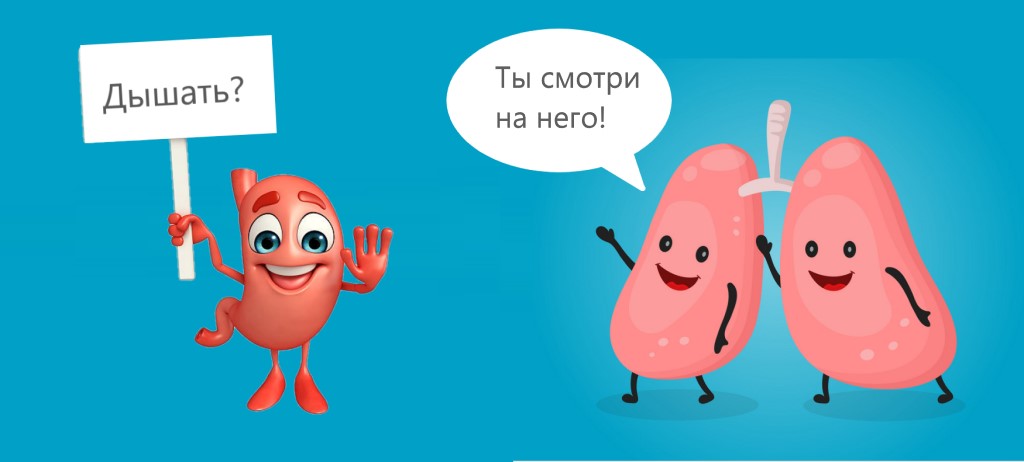 Может ли желудок дышать