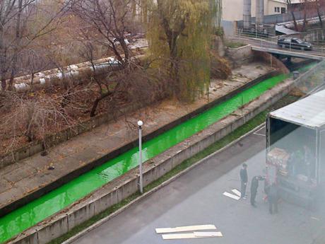 Лыбедь позеленела