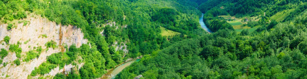 Река Тара