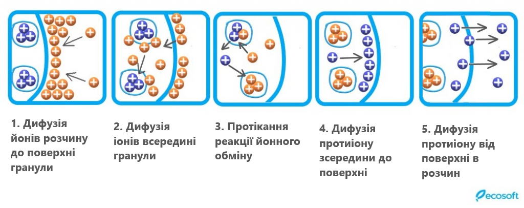Принцип іонного обміну 3.png