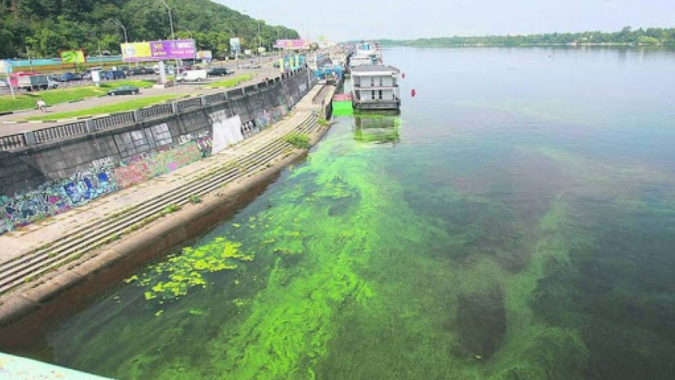 Зеленая вода в Днепре