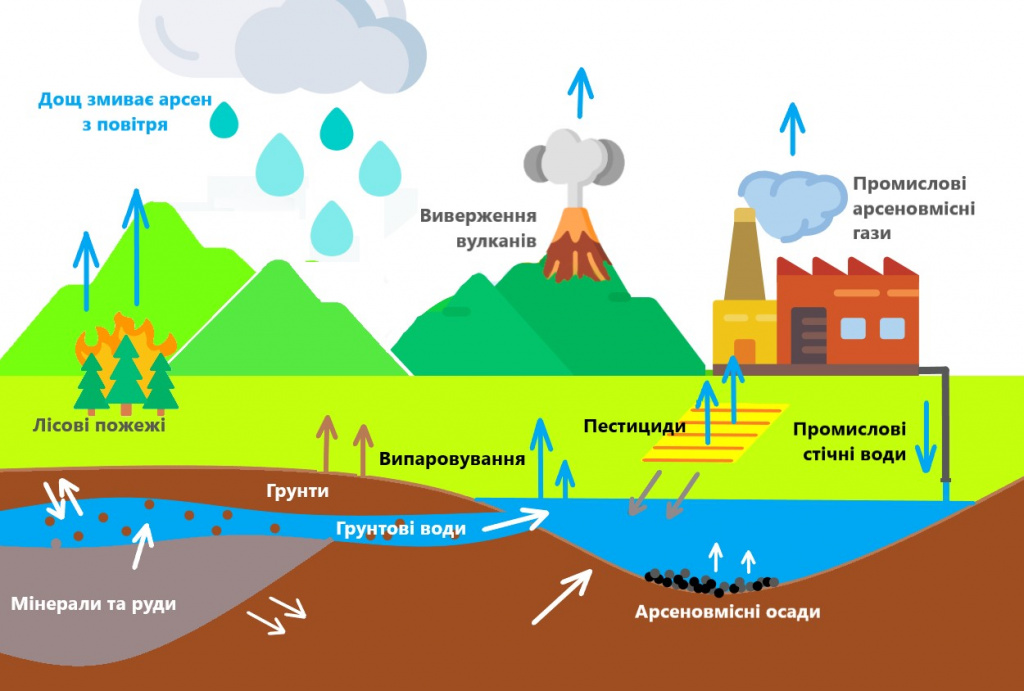 Пути поступления мышьяка в воду Пути поступления мышьяка в воду
