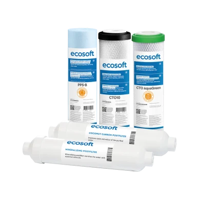 Комплект картриджів Ecosoft Absolute "6 місяців" (CHV5ECOABS)