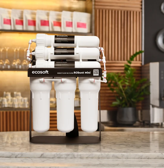 Фільтр зворотного осмосу Ecosoft RObust Mini описание