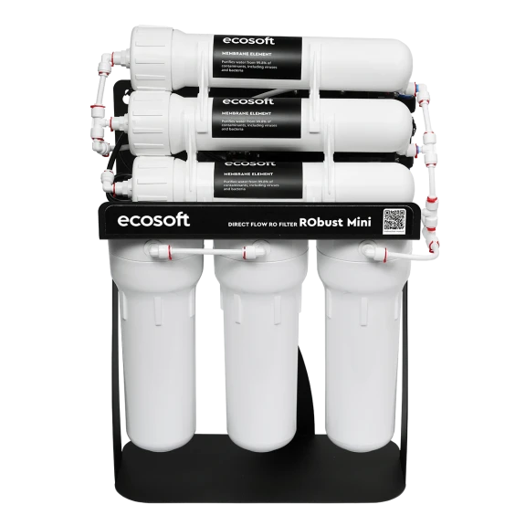 Фільтр зворотного осмосу Ecosoft RObust Mini