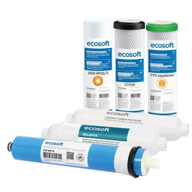 Комплект картриджей Ecosoft PURE Balance "12 месяцев" (CHV6PUREBAL)