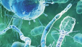 Вічний бій за безпеку води