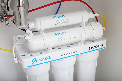 Фільтр зворотного осмосу Ecosoft Standard (MO550ECOSTD) заказать