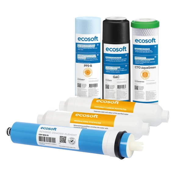 Комплект картриджей Ecosoft Absolute "12 месяцев" (CHV6ECOABS) цена 