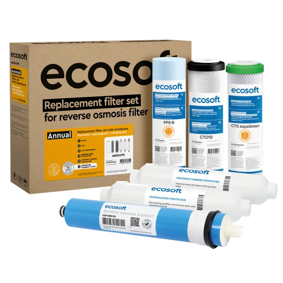 Комплект картриджів Ecosoft Absolute "12 місяців" (CHV6ECOABS) купити