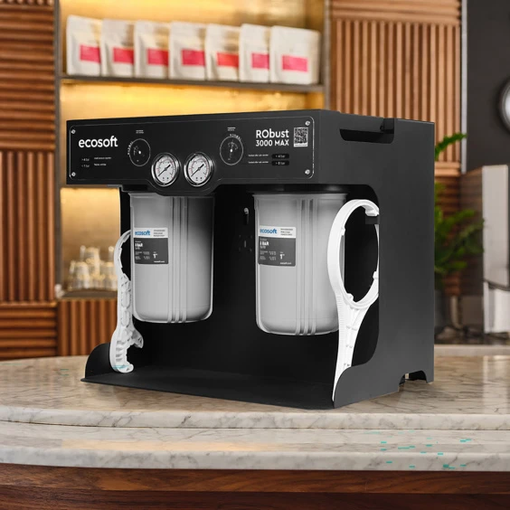 Фільтр зворотного осмосу Ecosoft RObust 3000MAX продажа