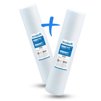 Картридж зі спіненого поліпропілену Ecosoft 4,5"x20" 20 мкм 2шт. (CPV2452020ECO)