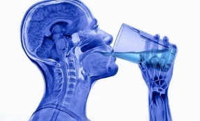 Скільки води в організмі людини?