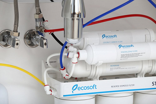 Фильтр обратного осмоса Ecosoft Standard с минерализатором цена 