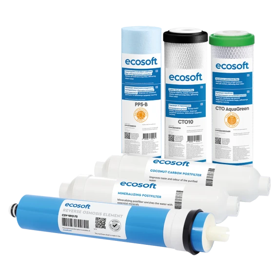 Комплект картриджів Ecosoft Absolute "12 місяців" (CHV6ECOABS)