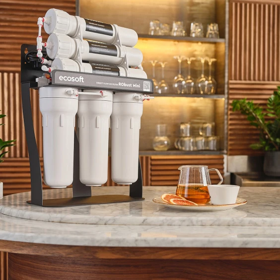 Фільтр зворотного осмосу Ecosoft RObust Mini фото