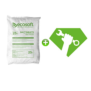 Таблетированная соль ECOSIL 25 кг (KECOSIL) + Обслуживание