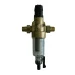 Фильтр для холодной воды с регулятором давления BWT PROTECTOR MINI HWS 1" CR (810550)