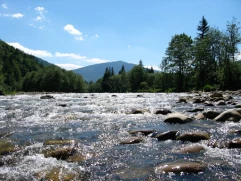 Найчистіші водойми в Україні